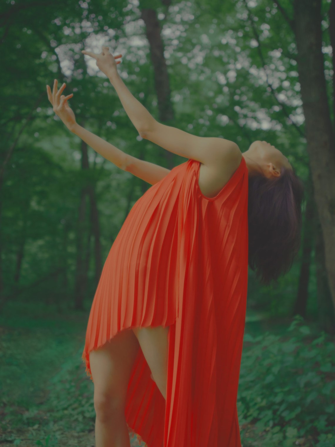 WillandJoan_Dancing-In-The-Wood_metalmagazine_11